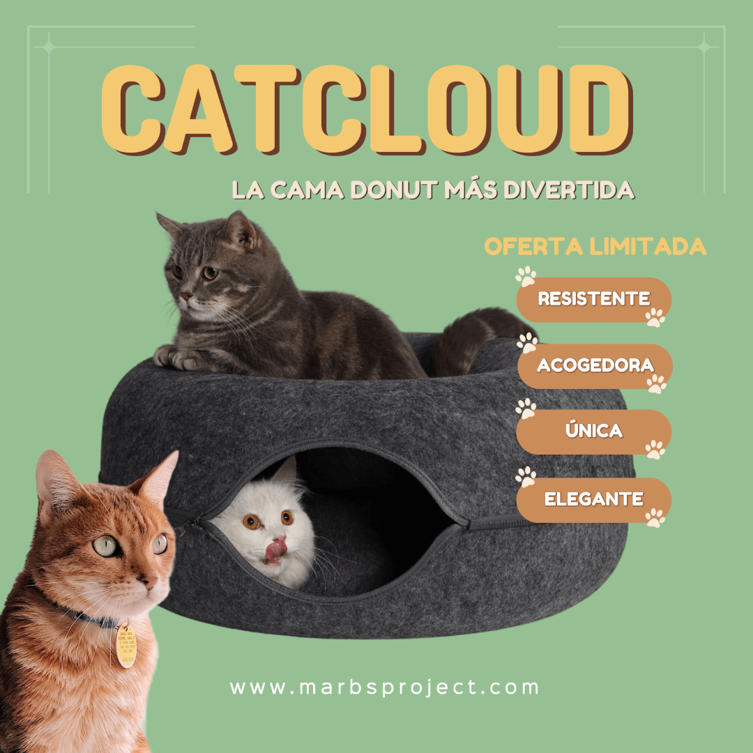DONUT CATCLOUD