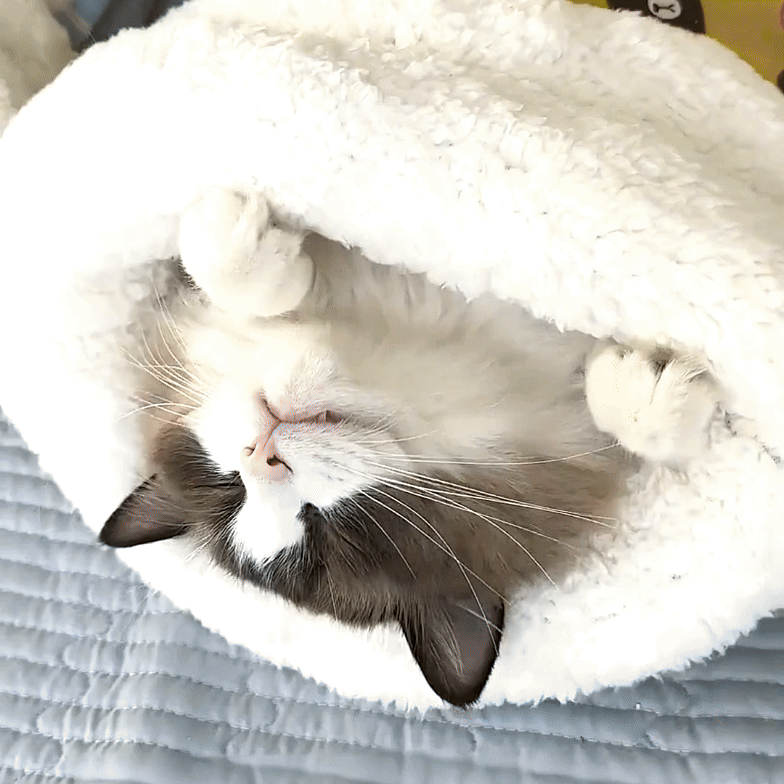 SACO CATNAP