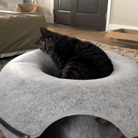 DONUT CATCLOUD