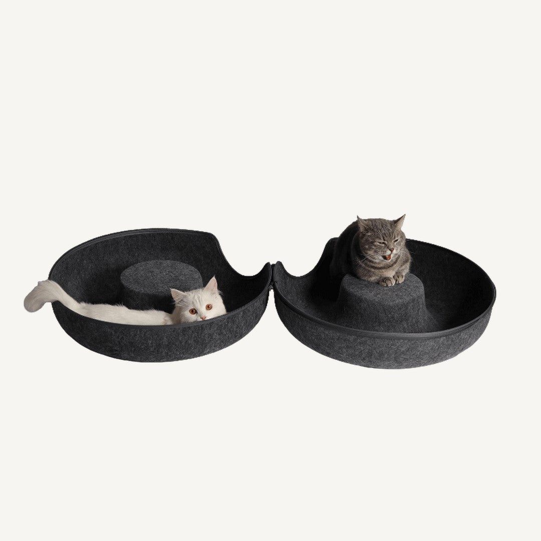 CAMA DONUT PARA GATOS  CATCLOUD