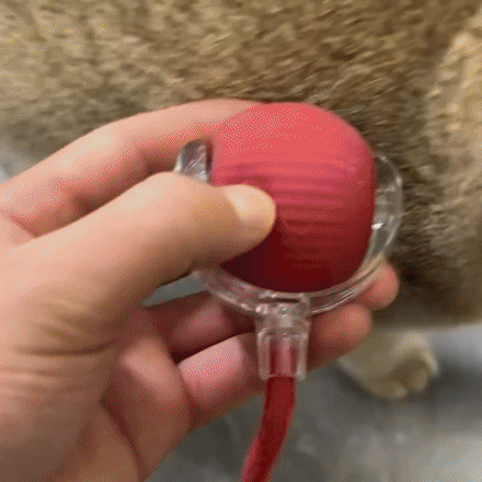 Pelota Inteligente para Gato USB - Juguete Interactivo